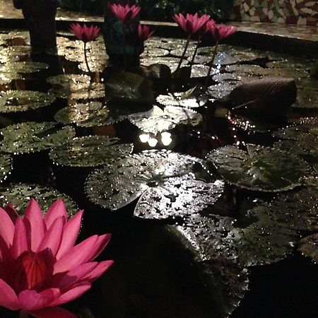 Bed and Breakfast The Lotus Garden Puerto Princesa Zewnętrze zdjęcie