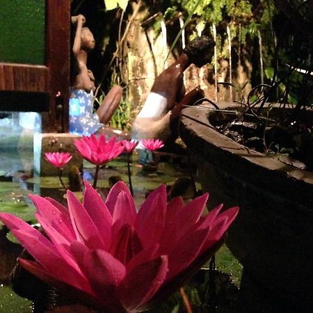 Bed and Breakfast The Lotus Garden Puerto Princesa Zewnętrze zdjęcie