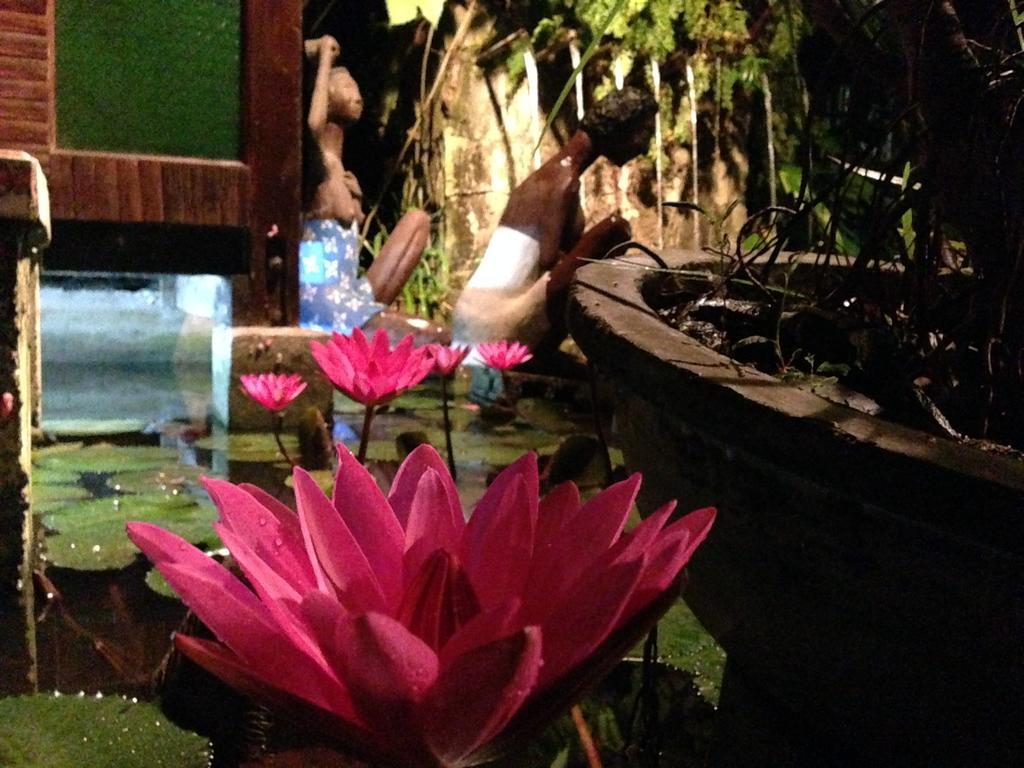 Bed and Breakfast The Lotus Garden Puerto Princesa Zewnętrze zdjęcie