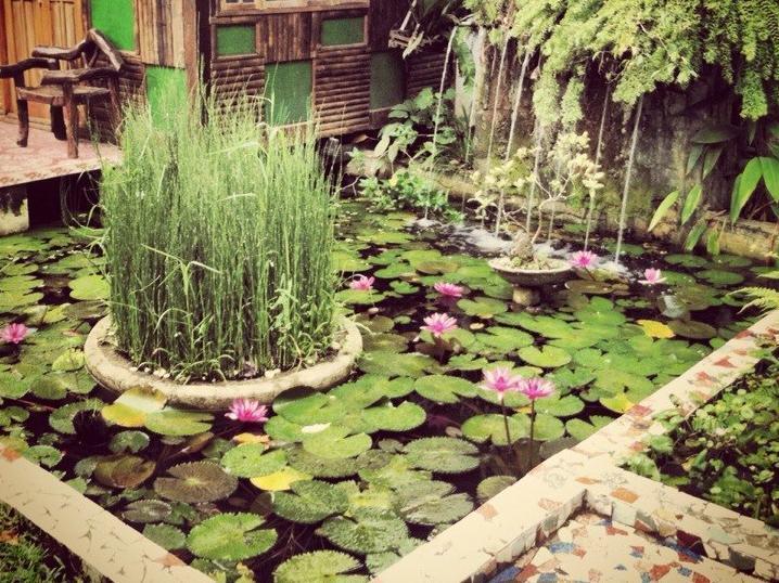 Bed and Breakfast The Lotus Garden Puerto Princesa Zewnętrze zdjęcie